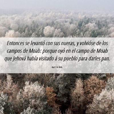 Picture 06 - Rut 1:6 RVA - Entonces se levantó con sus nueras, y volvióse - Bible Verse Picture