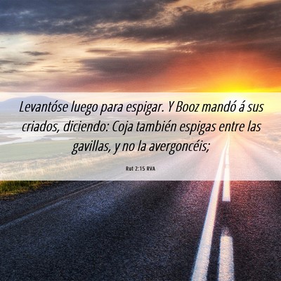Picture 06 - Rut 2:15 RVA - Levantóse luego para espigar. Y Booz mandó á - Bible Verse Picture