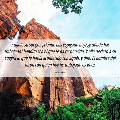 Picture 06 - Rut 2:19 RVA - Y díjole su suegra: ¿Dónde has espigado hoy? - Bible Verse Picture