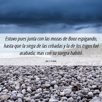 Picture 06 - Rut 2:23 RVA - Estuvo pues junta con las mozas de Booz - Bible Verse Picture