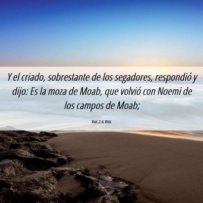 Picture 06 - Rut 2:6 RVA - Y el criado, sobrestante de los segadores, - Bible Verse Picture