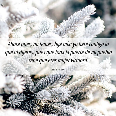 Picture 06 - Rut 3:11 RVA - Ahora pues, no temas, hija mía: yo haré contigo - Bible Verse Picture