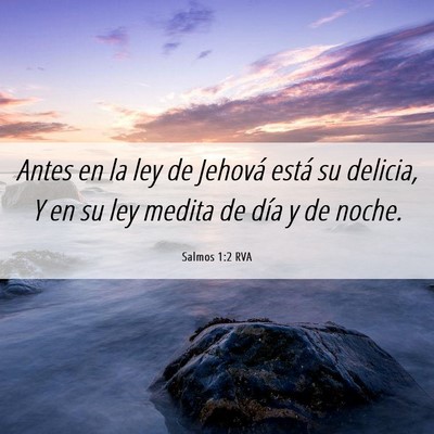 Picture 06 - Salmos 1:2 RVA - Antes en la ley de Jehová está su delicia, Y en - Bible Verse Picture