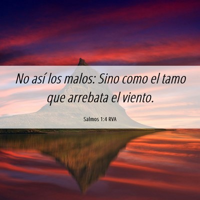 Picture 06 - Salmos 1:4 RVA - No así los malos: Sino como el tamo que arrebata - Bible Verse Picture