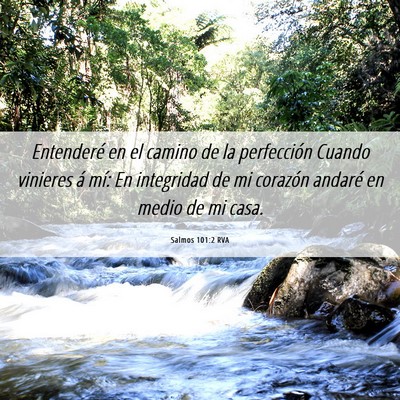 Picture 06 - Salmos 101:2 RVA - Entenderé en el camino de la perfección Cuando - Bible Verse Picture