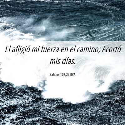 Picture 06 - Salmos 102:23 RVA - El afligió mi fuerza en el camino; Acortó mis - Bible Verse Picture