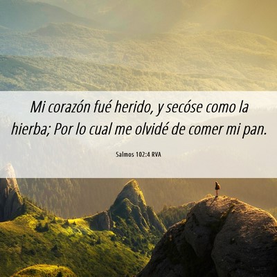 Picture 06 - Salmos 102:4 RVA - Mi corazón fué herido, y secóse como la - Bible Verse Picture