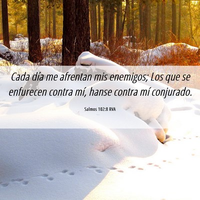 Picture 06 - Salmos 102:8 RVA - Cada día me afrentan mis enemigos; Los que se - Bible Verse Picture