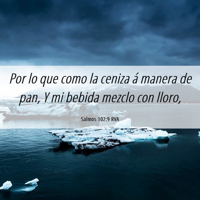 Picture 06 - Salmos 102:9 RVA - Por lo que como la ceniza á manera de pan, Y mi - Bible Verse Picture