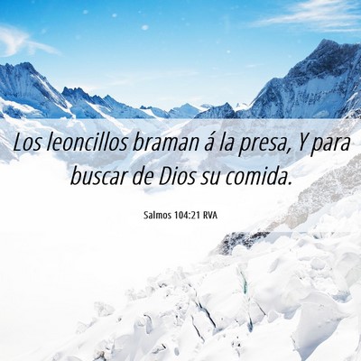 Picture 06 - Salmos 104:21 RVA - Los leoncillos braman á la presa, Y para buscar - Bible Verse Picture