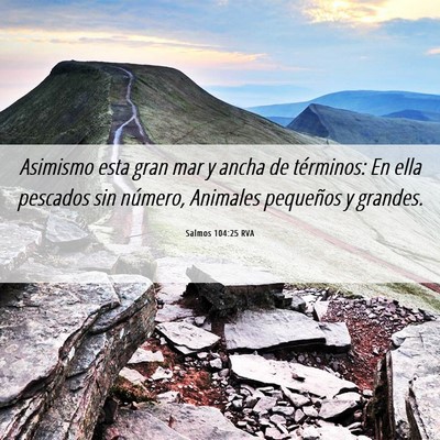 Picture 06 - Salmos 104:25 RVA - Asimismo esta gran mar y ancha de términos: En - Bible Verse Picture