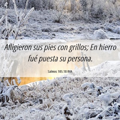 Picture 06 - Salmos 105:18 RVA - Afligieron sus pies con grillos; En hierro fué - Bible Verse Picture