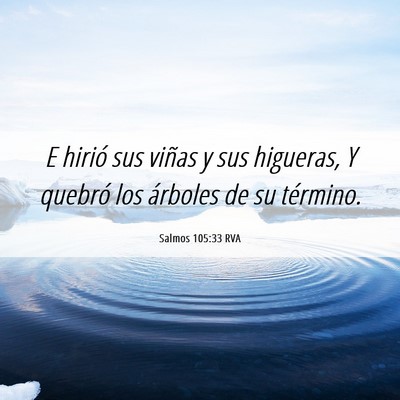 Picture 06 - Salmos 105:33 RVA - E hirió sus viñas y sus higueras, Y quebró los - Bible Verse Picture