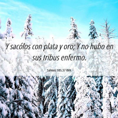 Picture 06 - Salmos 105:37 RVA - Y sacólos con plata y oro; Y no hubo en sus - Bible Verse Picture