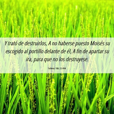 Picture 06 - Salmos 106:23 RVA - Y trató de destruirlos, A no haberse puesto - Bible Verse Picture