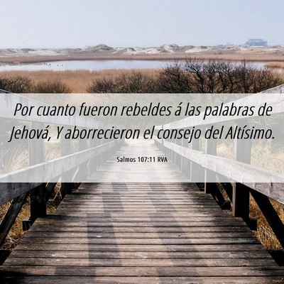 Picture 06 - Salmos 107:11 RVA - Por cuanto fueron rebeldes á las palabras de - Bible Verse Picture
