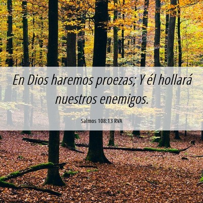 Picture 06 - Salmos 108:13 RVA - En Dios haremos proezas; Y él hollará nuestros - Bible Verse Picture