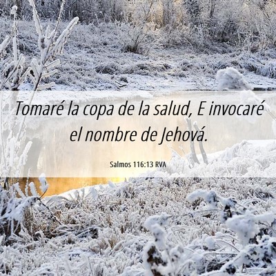 Picture 06 - Salmos 116:13 RVA - Tomaré la copa de la salud, E invocaré el - Bible Verse Picture