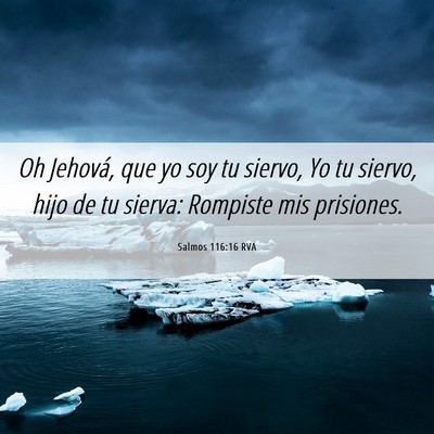 Picture 06 - Salmos 116:16 RVA - Oh Jehová, que yo soy tu siervo, Yo tu siervo, - Bible Verse Picture