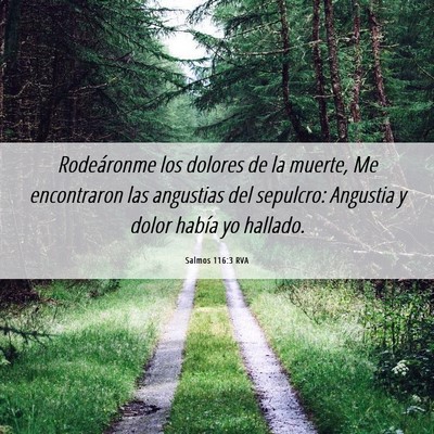 Picture 06 - Salmos 116:3 RVA - Rodeáronme los dolores de la muerte, Me - Bible Verse Picture