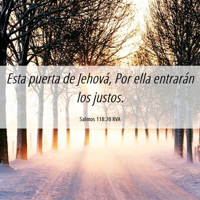 Picture 06 - Salmos 118:20 RVA - Esta puerta de Jehová, Por ella entrarán los - Bible Verse Picture