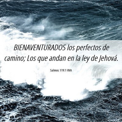 Picture 06 - Salmos 119:1 RVA - BIENAVENTURADOS los perfectos de camino; Los que - Bible Verse Picture