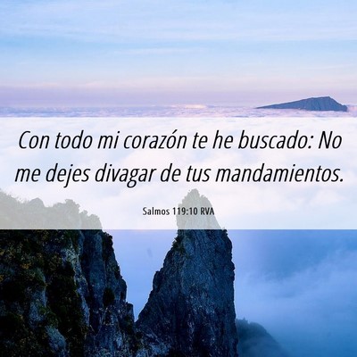 Picture 06 - Salmos 119:10 RVA - Con todo mi corazón te he buscado: No me dejes - Bible Verse Picture