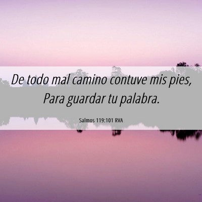 Picture 06 - Salmos 119:101 RVA - De todo mal camino contuve mis pies, Para guardar - Bible Verse Picture