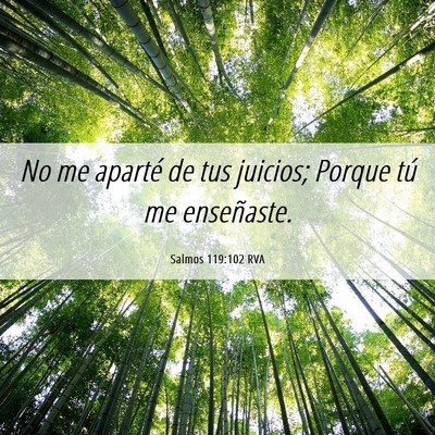 Picture 06 - Salmos 119:102 RVA - No me aparté de tus juicios; Porque tú me - Bible Verse Picture