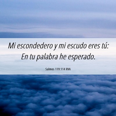 Picture 06 - Salmos 119:114 RVA - Mi escondedero y mi escudo eres tú: En tu - Bible Verse Picture