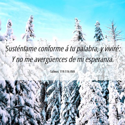 Picture 06 - Salmos 119:116 RVA - Susténtame conforme á tu palabra, y viviré: Y - Bible Verse Picture