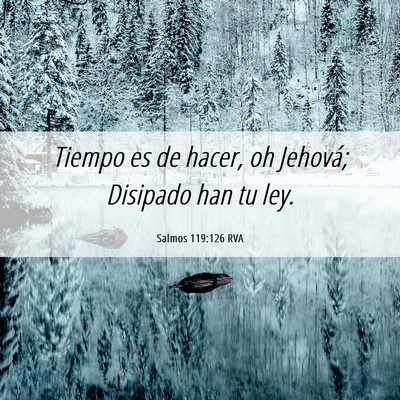 Picture 06 - Salmos 119:126 RVA - Tiempo es de hacer, oh Jehová; Disipado han tu - Bible Verse Picture