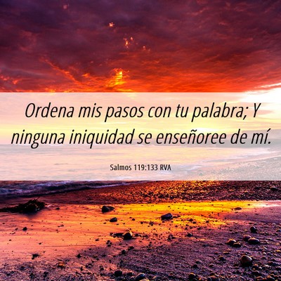 Picture 06 - Salmos 119:133 RVA - Ordena mis pasos con tu palabra; Y ninguna - Bible Verse Picture