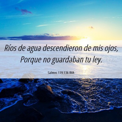 Picture 06 - Salmos 119:136 RVA - Ríos de agua descendieron de mis ojos, Porque no - Bible Verse Picture
