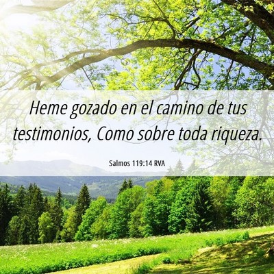 Picture 06 - Salmos 119:14 RVA - Heme gozado en el camino de tus testimonios, Como - Bible Verse Picture