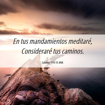 Picture 06 - Salmos 119:15 RVA - En tus mandamientos meditaré, Consideraré tus - Bible Verse Picture