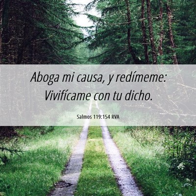 Picture 06 - Salmos 119:154 RVA - Aboga mi causa, y redímeme: Vivifícame con tu - Bible Verse Picture