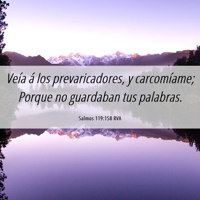Picture 06 - Salmos 119:158 RVA - Veía á los prevaricadores, y carcomíame; - Bible Verse Picture