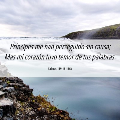 Picture 06 - Salmos 119:161 RVA - Príncipes me han perseguido sin causa; Mas mi - Bible Verse Picture