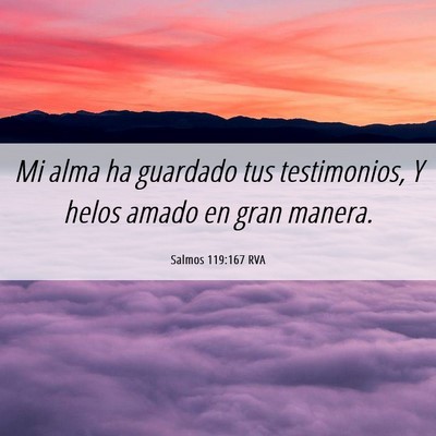 Picture 06 - Salmos 119:167 RVA - Mi alma ha guardado tus testimonios, Y helos - Bible Verse Picture