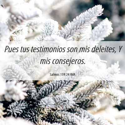Picture 06 - Salmos 119:24 RVA - Pues tus testimonios son mis deleites, Y mis - Bible Verse Picture