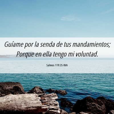 Picture 06 - Salmos 119:35 RVA - Guíame por la senda de tus mandamientos; Porque - Bible Verse Picture