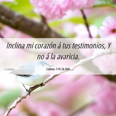 Picture 06 - Salmos 119:36 RVA - Inclina mi corazón á tus testimonios, Y no á - Bible Verse Picture