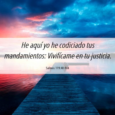 Picture 06 - Salmos 119:40 RVA - He aquí yo he codiciado tus mandamientos: - Bible Verse Picture