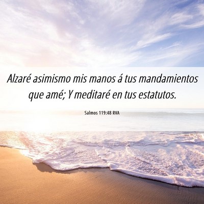 Picture 06 - Salmos 119:48 RVA - Alzaré asimismo mis manos á tus mandamientos - Bible Verse Picture