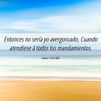 Picture 06 - Salmos 119:6 RVA - Entonces no sería yo avergonzado, Cuando - Bible Verse Picture