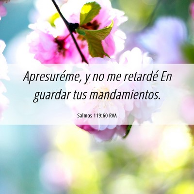 Picture 06 - Salmos 119:60 RVA - Apresuréme, y no me retardé En guardar tus - Bible Verse Picture