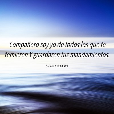 Picture 06 - Salmos 119:63 RVA - Compañero soy yo de todos los que te temieren Y - Bible Verse Picture