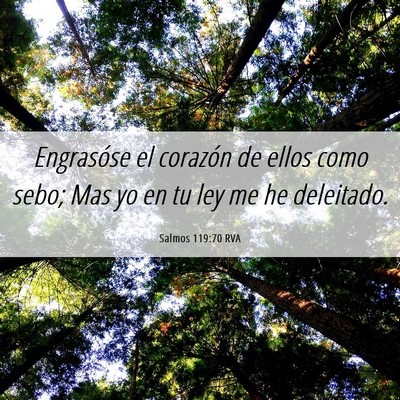 Picture 06 - Salmos 119:70 RVA - Engrasóse el corazón de ellos como sebo; Mas yo - Bible Verse Picture