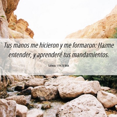 Picture 06 - Salmos 119:73 RVA - Tus manos me hicieron y me formaron: Hazme - Bible Verse Picture
